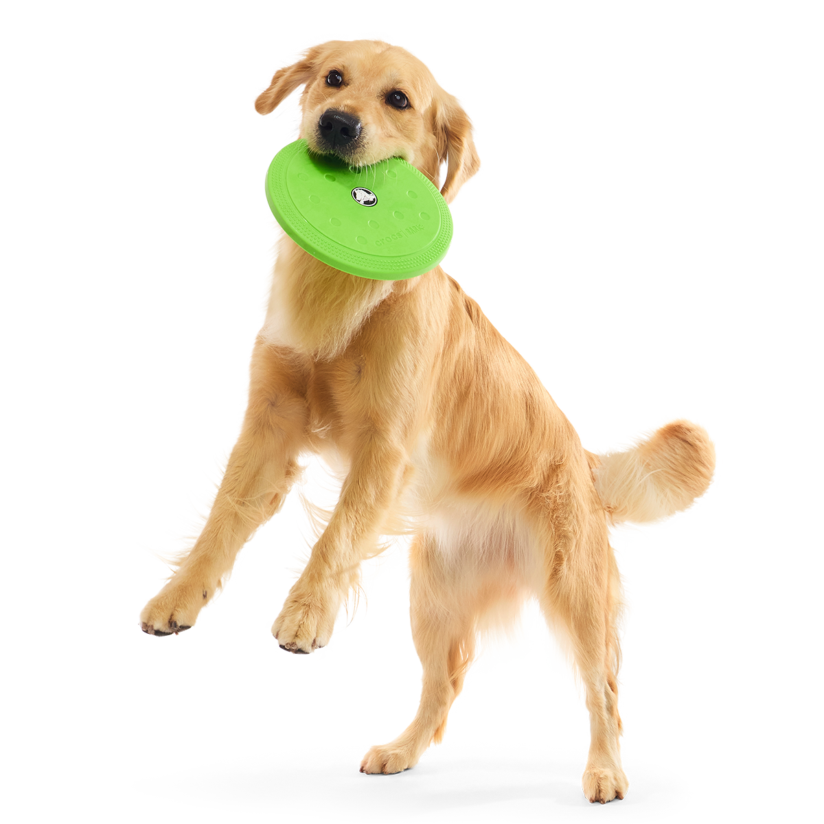 Crocs™ Foam Flyer Super Chewer Durable Fetch Dog Toy