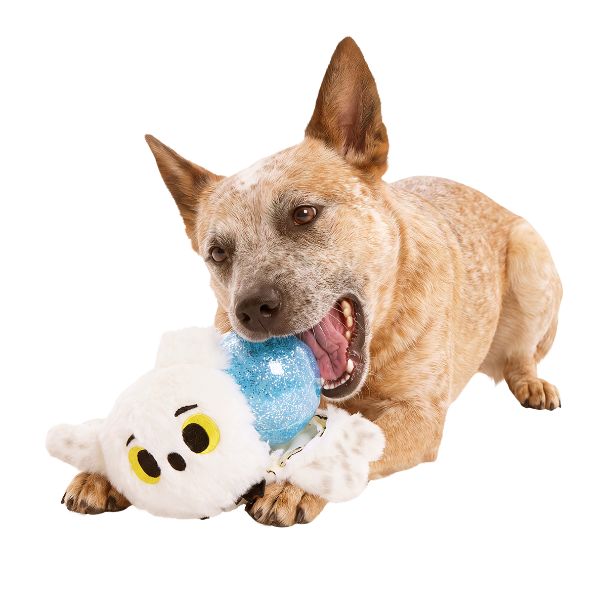 Special Delivery Hedwig™ Super Chewer Durable 2-in-1 + Fetch Dog Toy