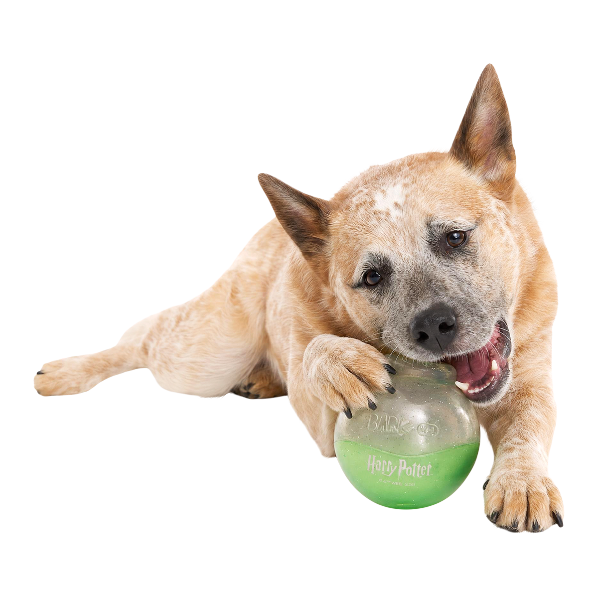 Polyjuice Potion™ Super Chewer Durable Enrichment Dog Toy