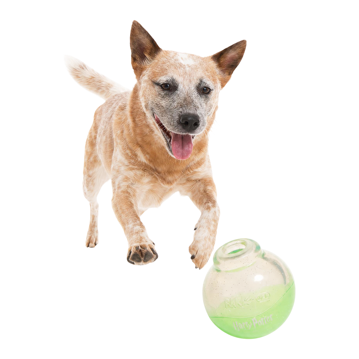 Polyjuice Potion™ Super Chewer Durable Enrichment Dog Toy