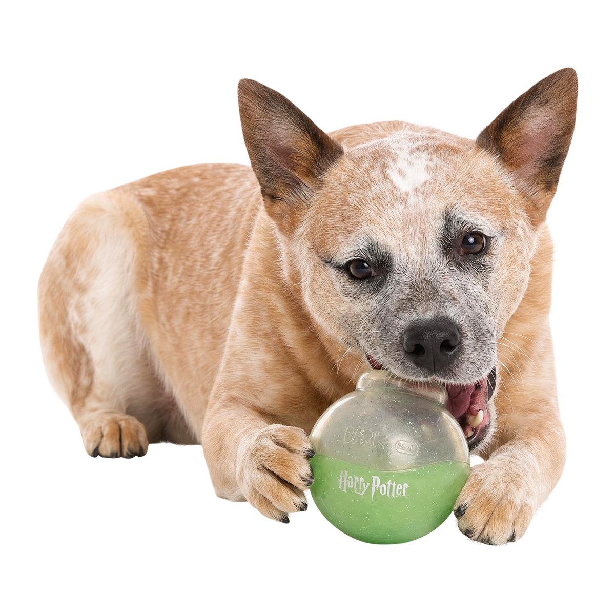 Polyjuice Potion™ Super Chewer Durable Enrichment Dog Toy