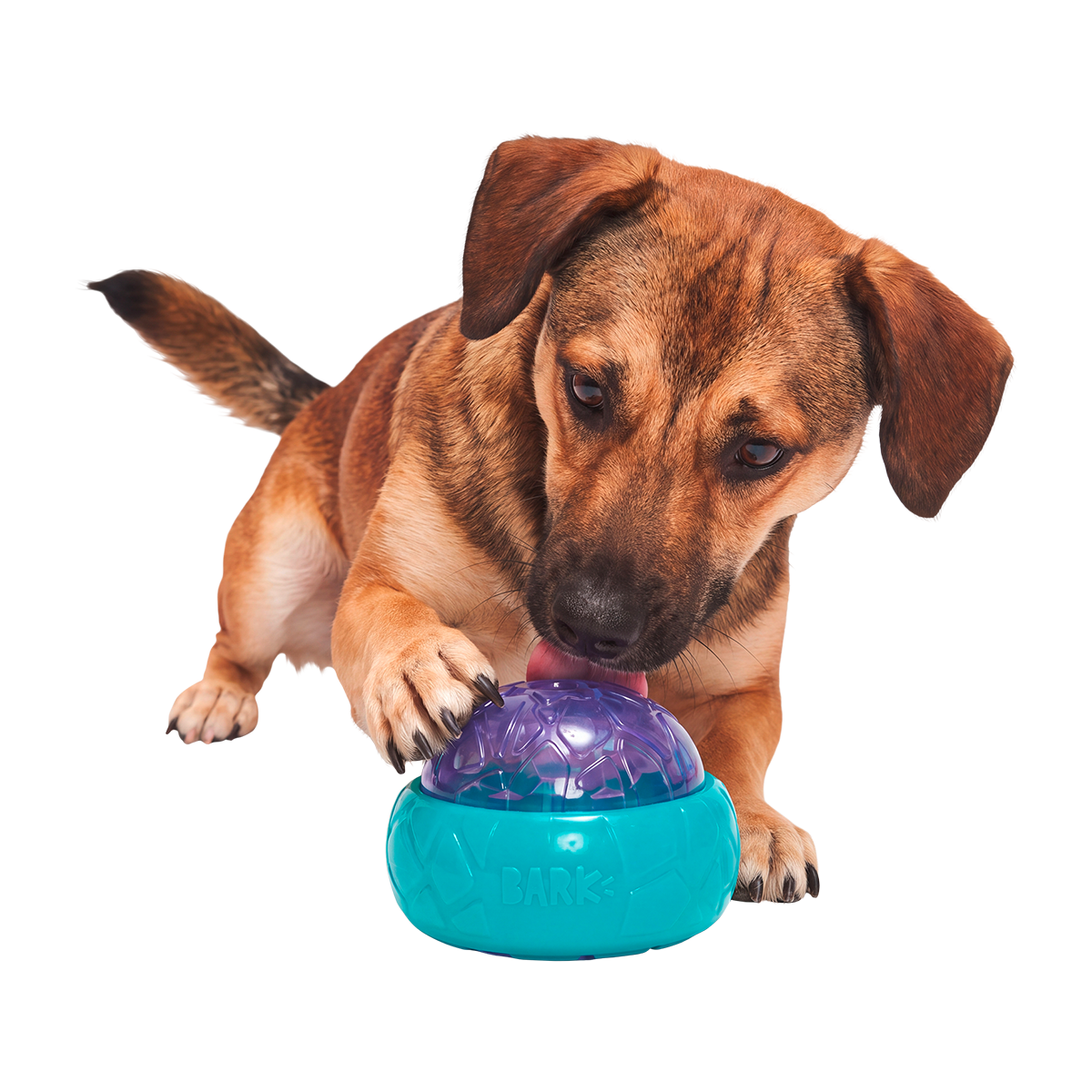 Flavor Glacier Super Chewer Durable Enrichment Dog Toy