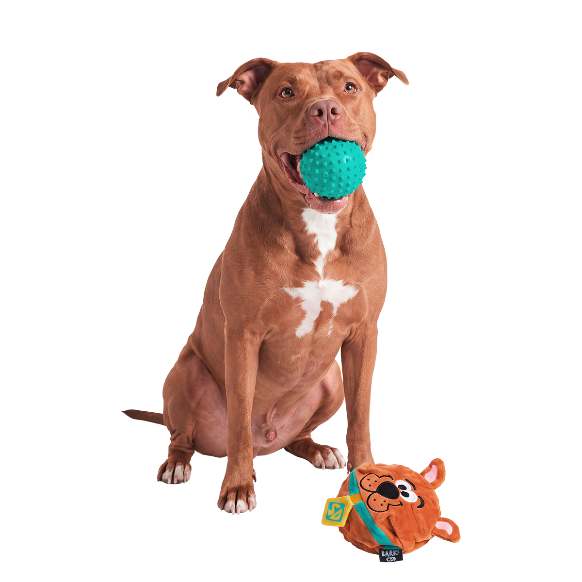 Scoob!™ Ball Super Chewer Durable 2-in-1 + Fetch Dog Toy