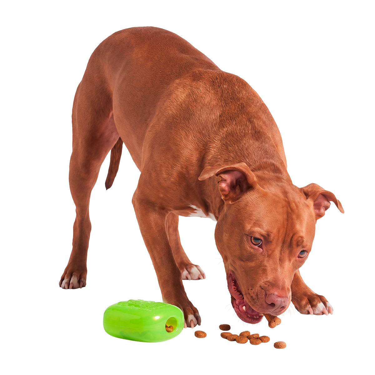 Scooby™ Snacker Super Chewer Durable Enrichment Dog Toy