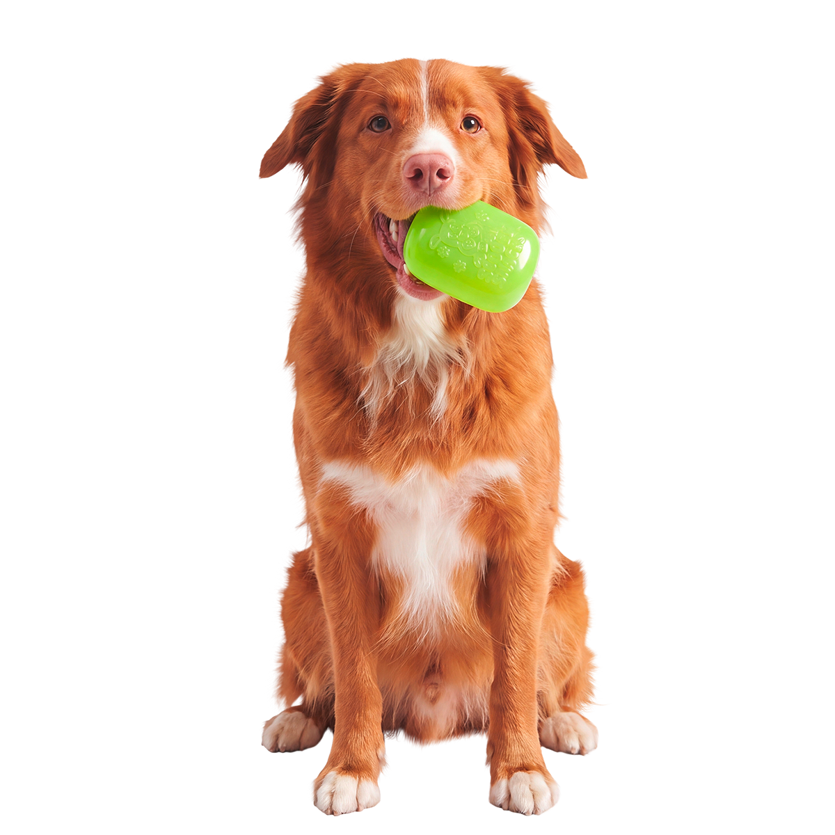Scooby™ Snacker Super Chewer Durable Enrichment Dog Toy