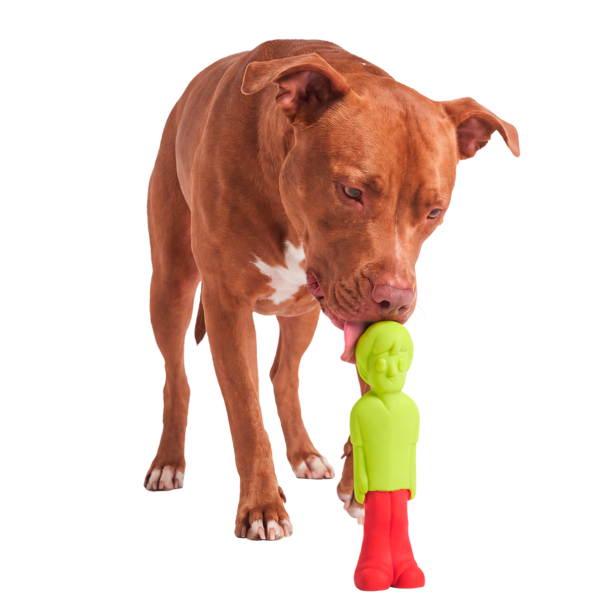 The Zoinkster Super Chewer Durable Gnaw Dog Toy