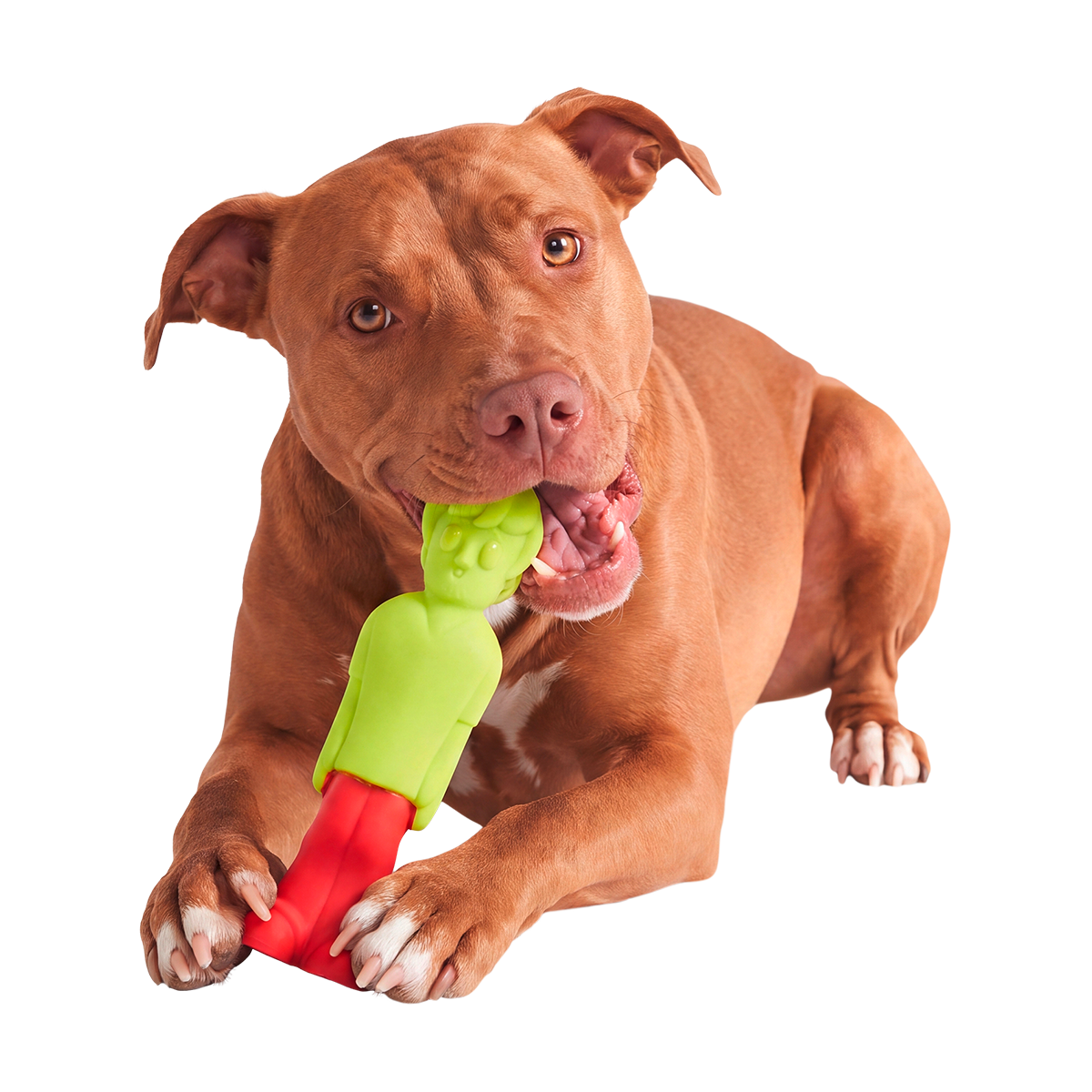 The Zoinkster Super Chewer Durable Gnaw Dog Toy