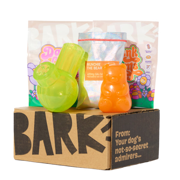 Super Chewer 12 Month Subscription - Bud Hounds First Box