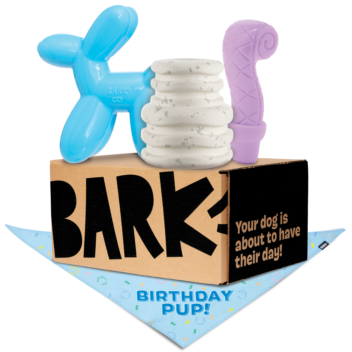 Birthday Super Chewer Box (Toy-Only) - One Month Gift Box#Dog Size_Large Dog