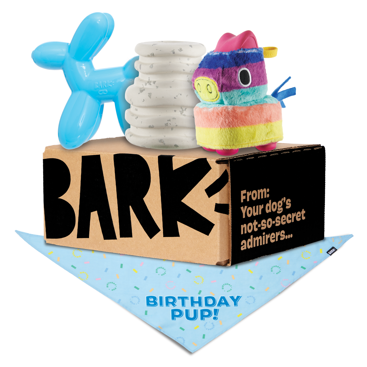 Birthday Super Chewer Box (Toy-Only) - One Month Gift Box#Dog Size_Small Dog