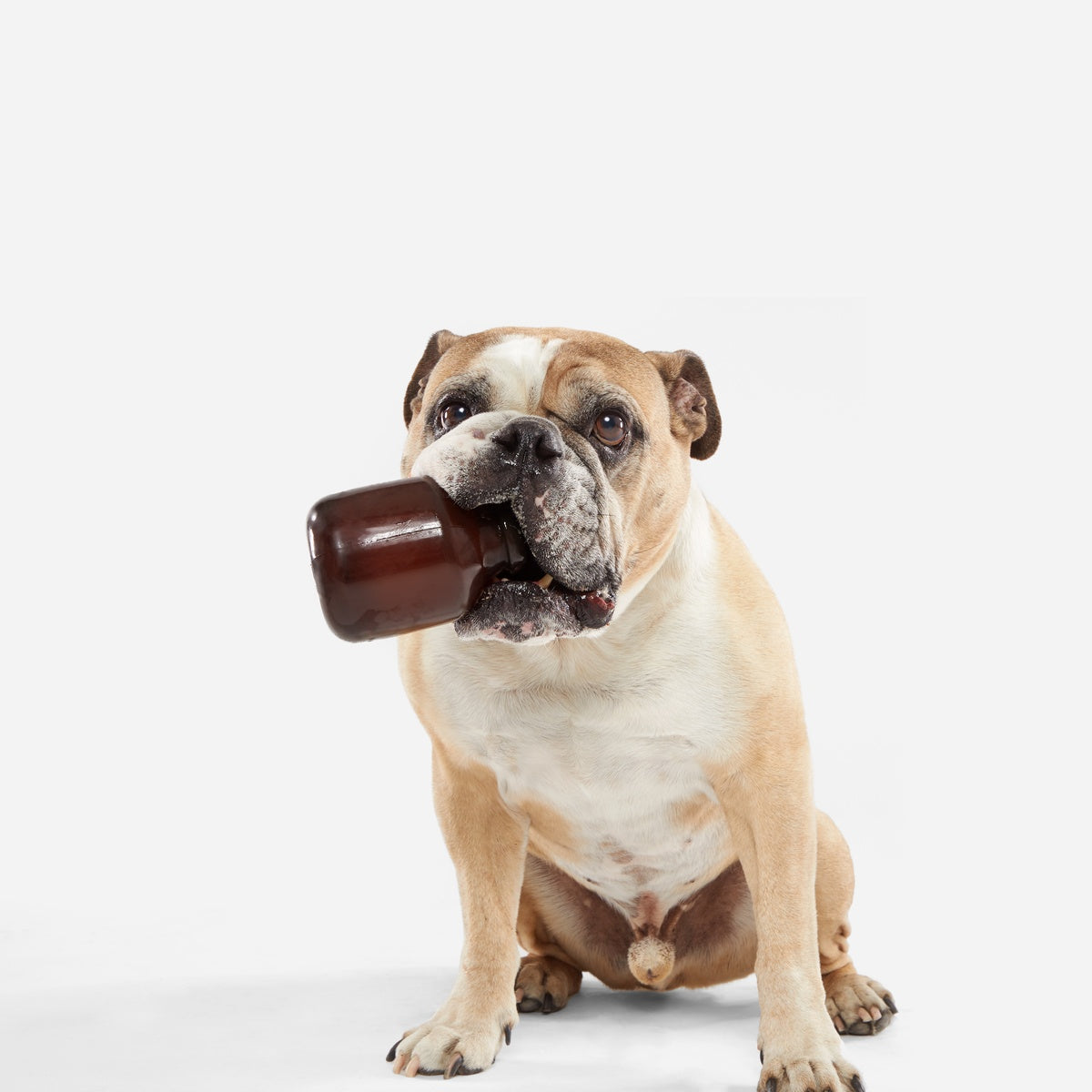 Howler Growler Super Chewer Durable Fetch Dog Toy