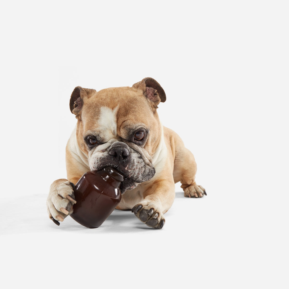 Howler Growler Super Chewer Durable Fetch Dog Toy