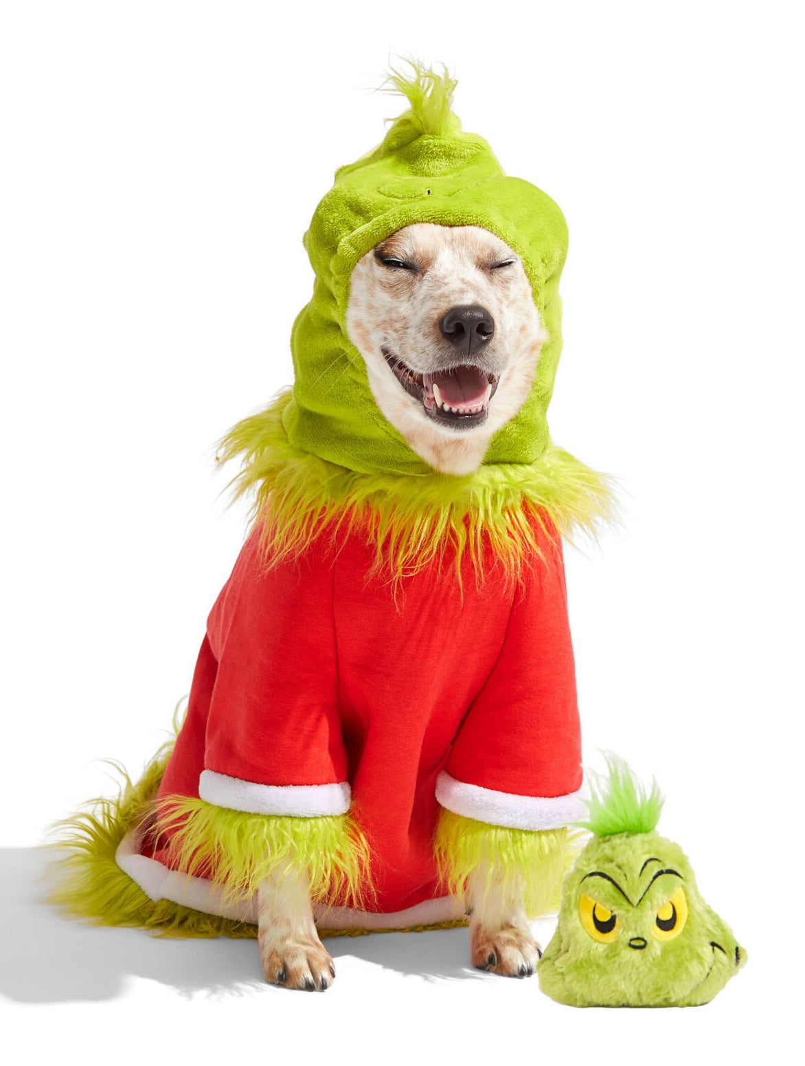 Grouchy Slouchy Grinch Costume & Toy Bundle For Super Chewer