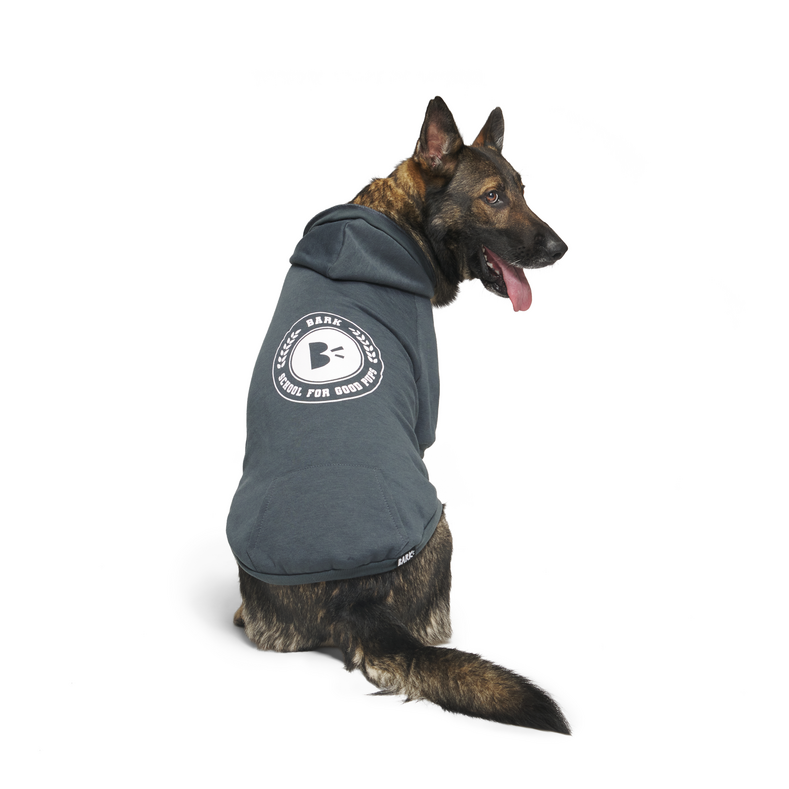 Bark to School Hoodie