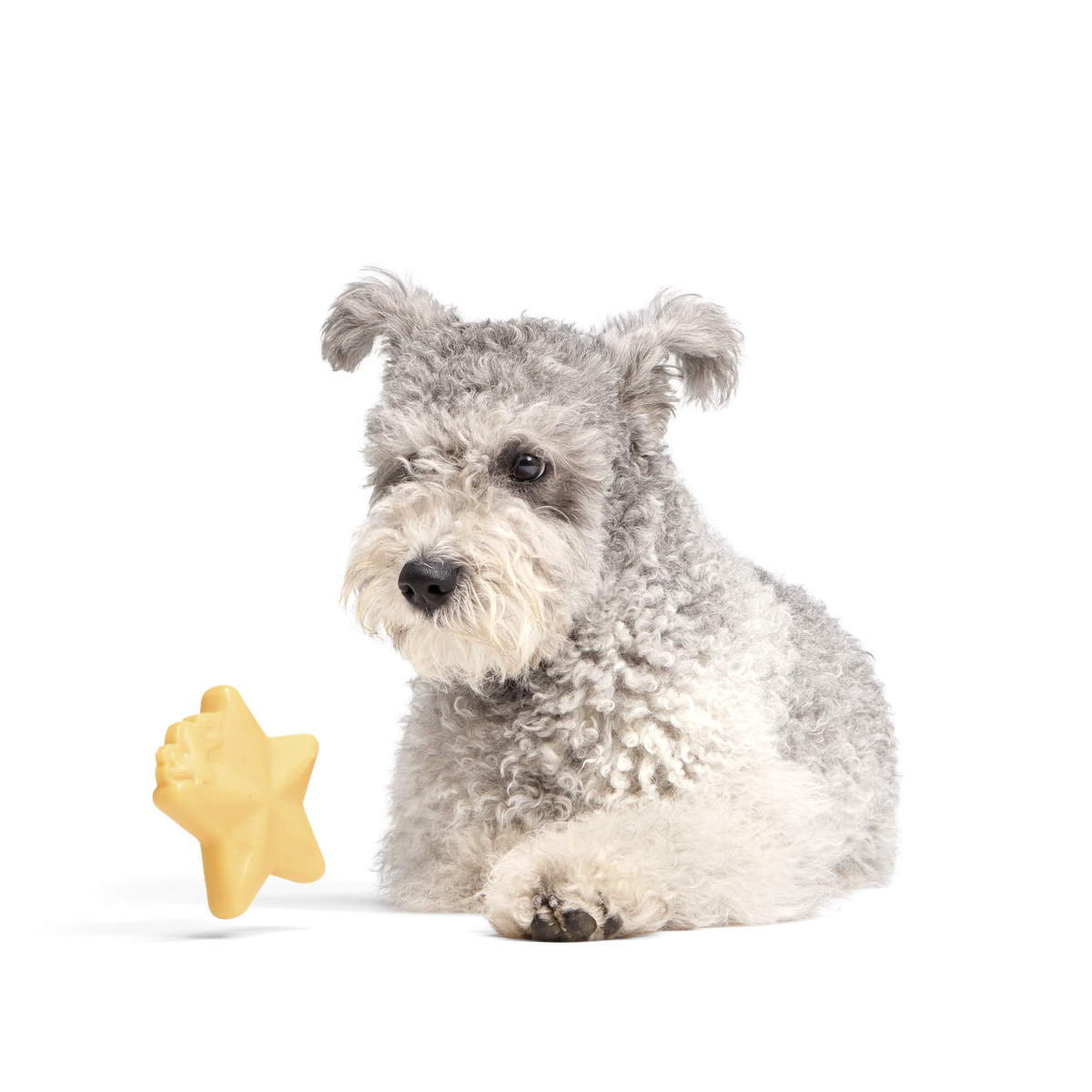 Woodstock's Star Super Chewer Durable Gnaw Dog Toy