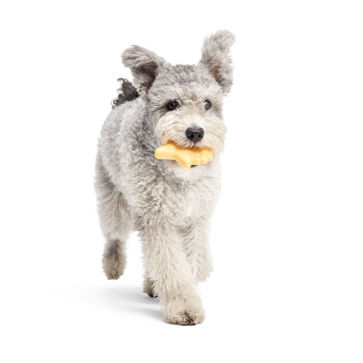 Woodstock's Star Super Chewer Durable Gnaw Dog Toy