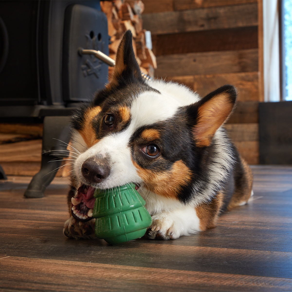 Tough Timber Pine Tree Super Chewer Durable Enrichment Dog Toy