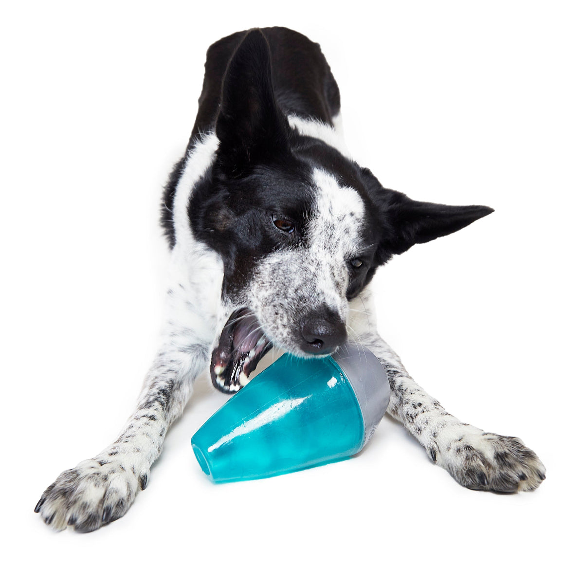 Lava Champ Durable Super Chewer Enrichment Dog Toy