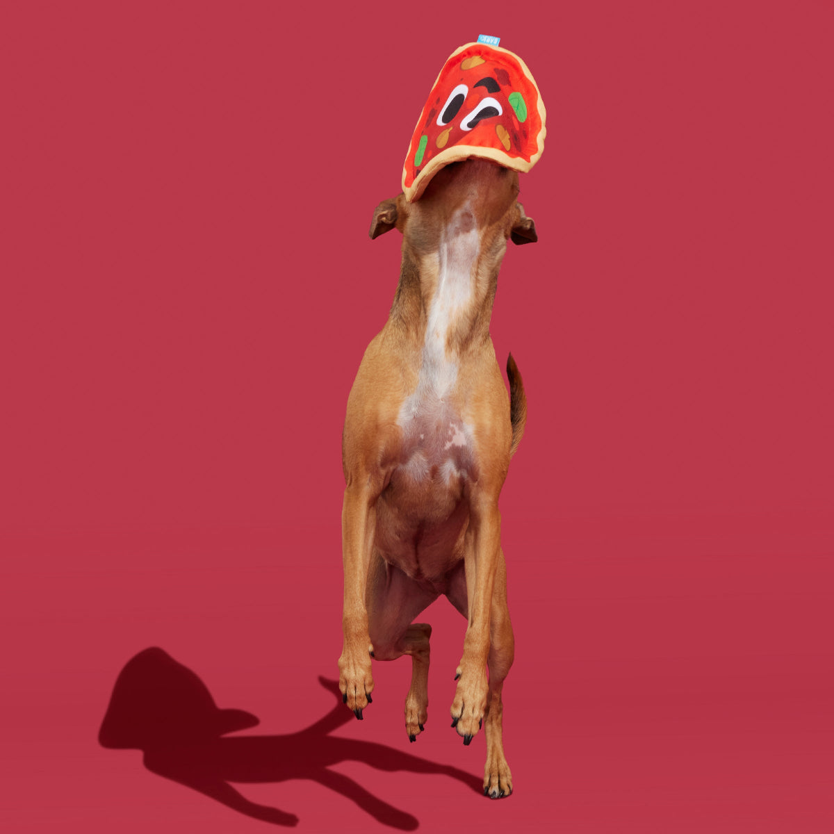 Signore Pizza Face Plush Fetch Dog Toy