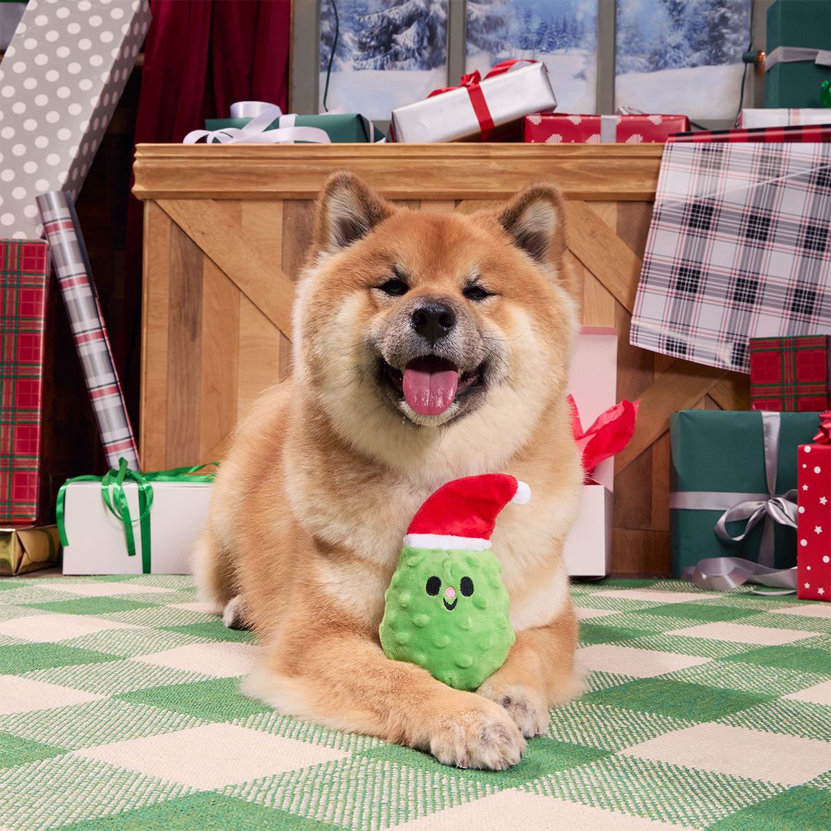 Pickle Claus Plush Tug Dog Toy