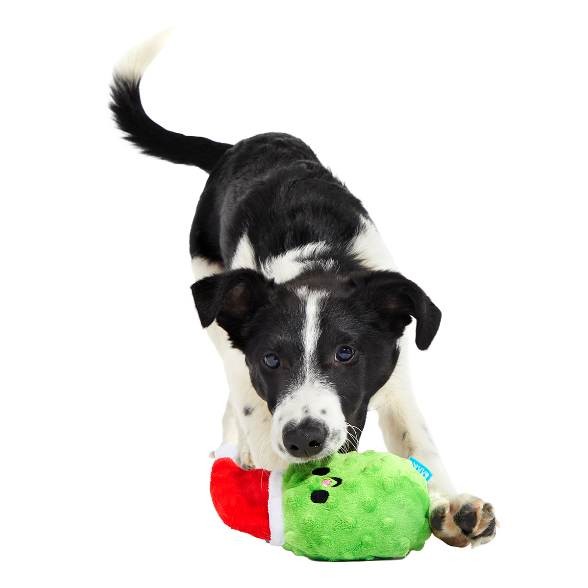 Pickle Claus Plush Tug Dog Toy