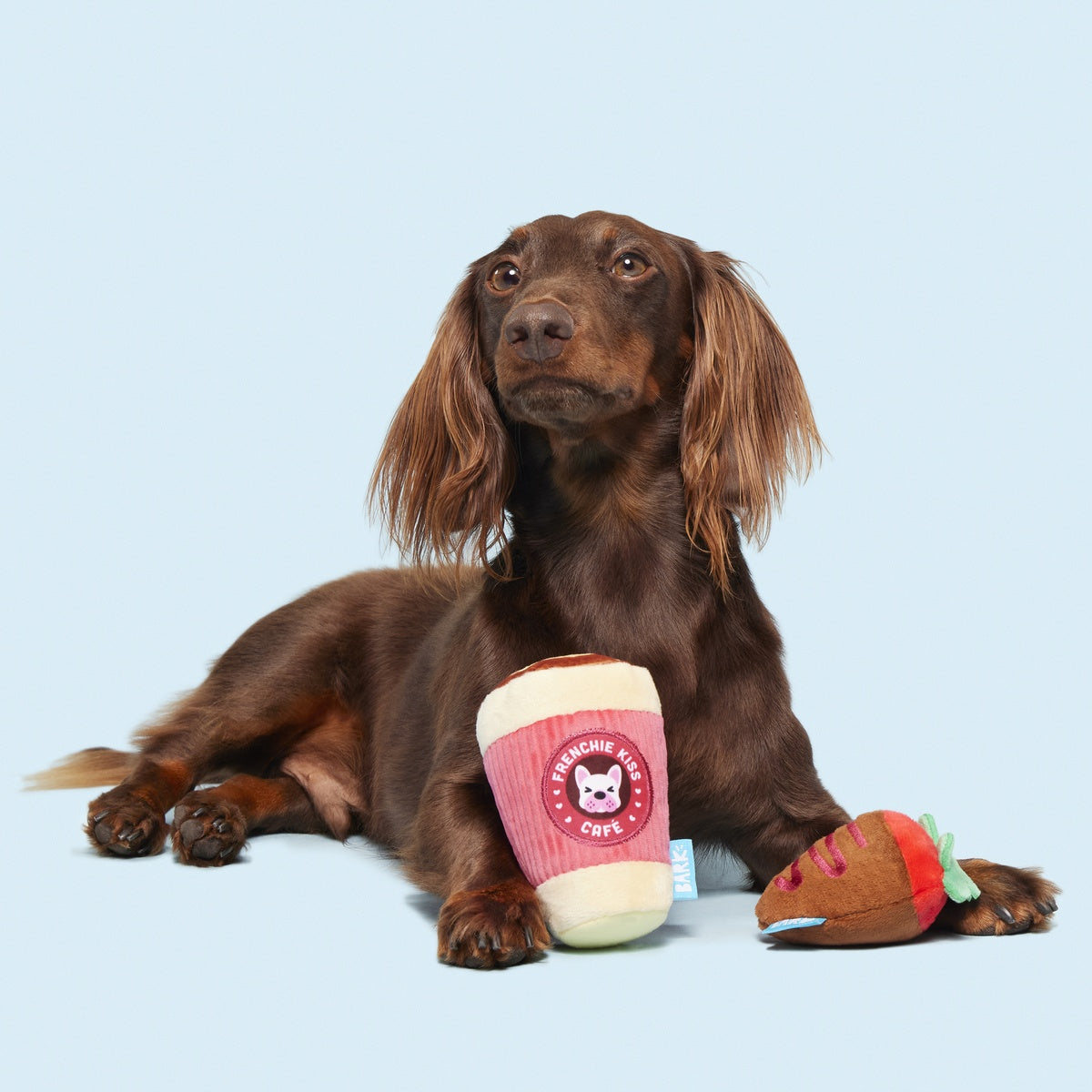 French Kiss Coffee Kit Plush Multi-Part Dog Toy