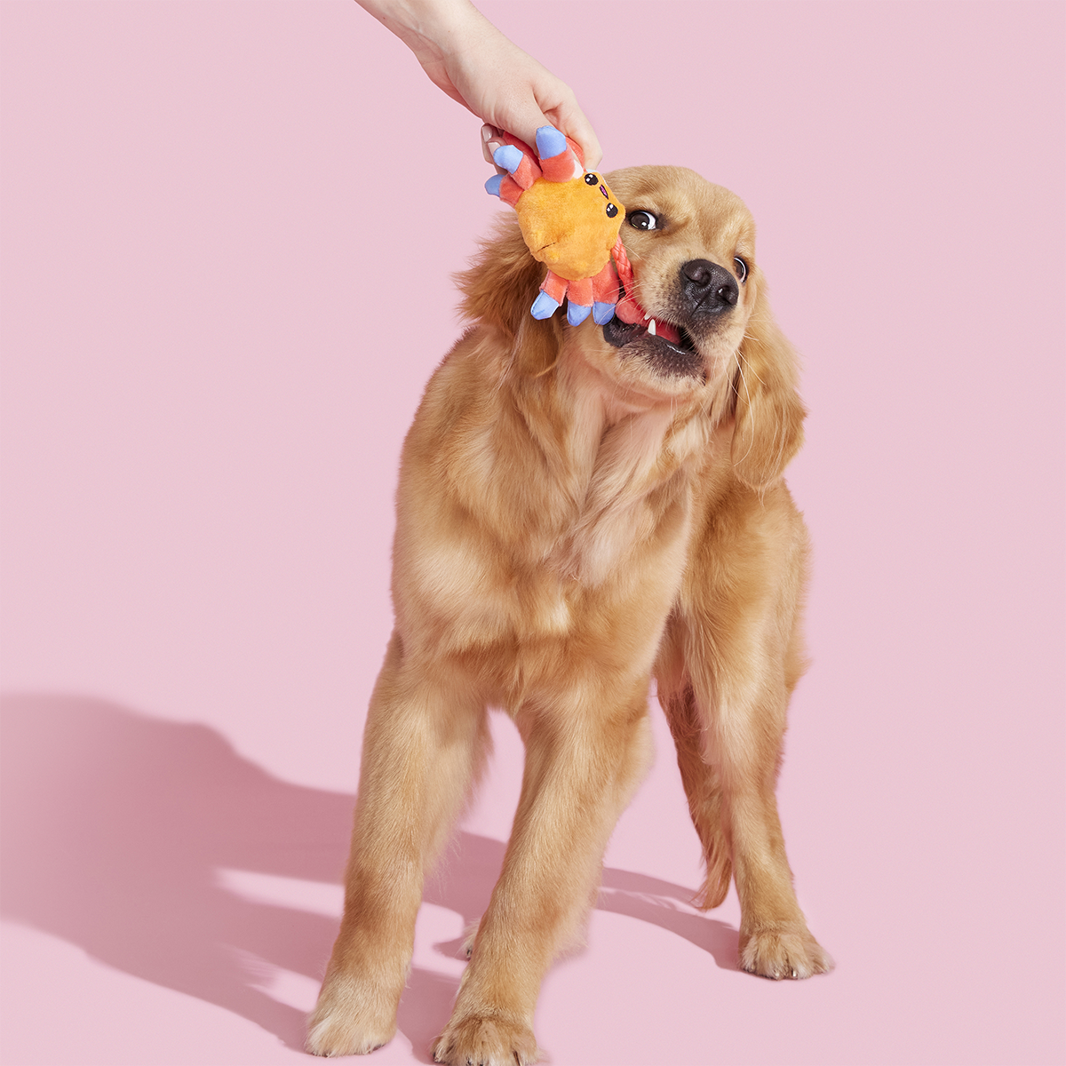 Sally Bitefoot Crab Plush Tug Dog Toy