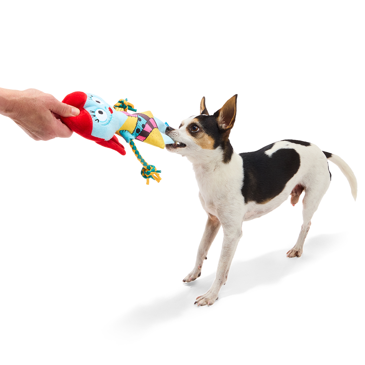 Sally the Wagdoll Plush Extra-Large + Tug Dog Toy