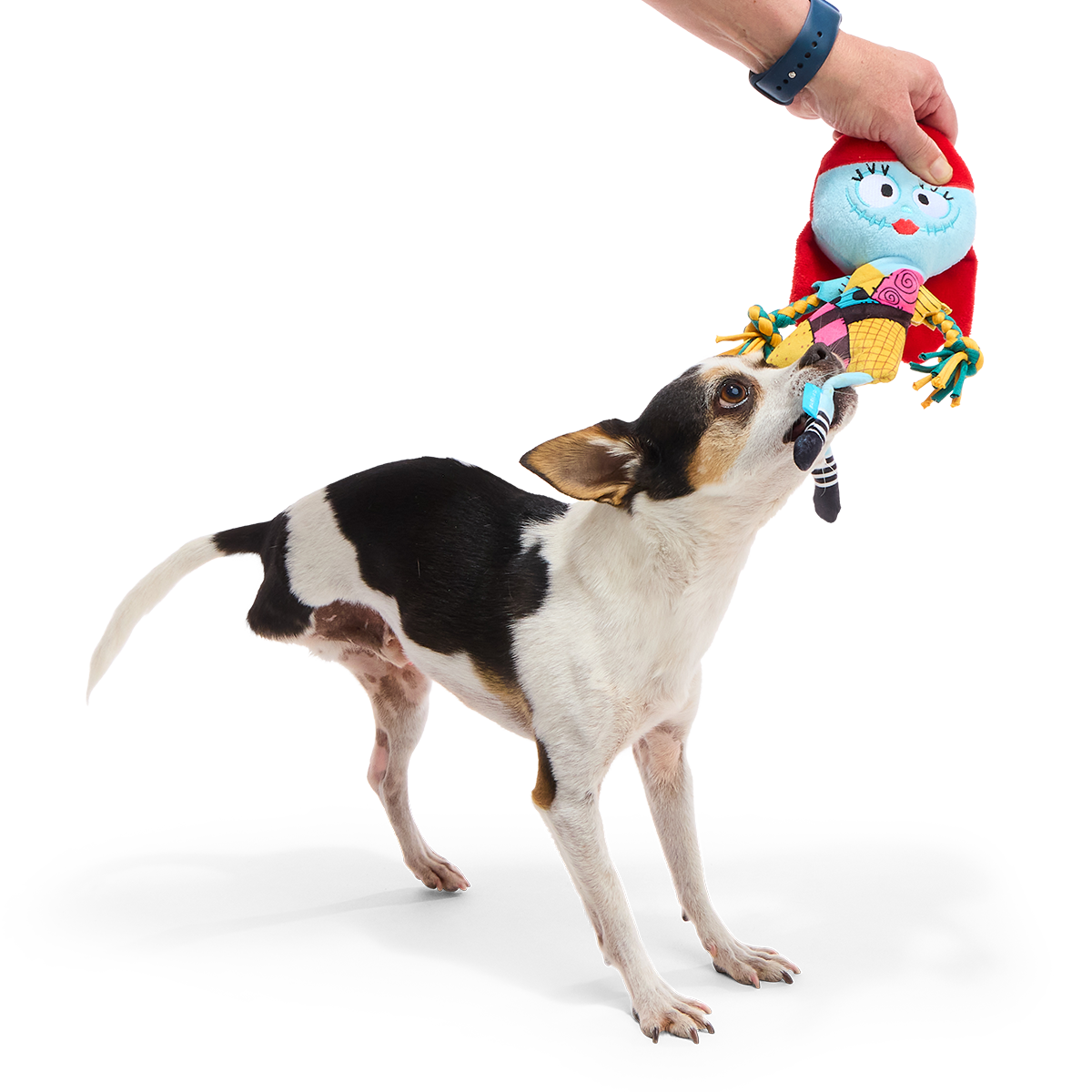 Sally the Wagdoll Plush Extra-Large + Tug Dog Toy