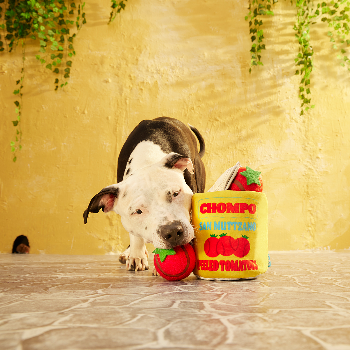 San Muttzano Tomatoes Plush Multi-Part Enrichment + Fetch Dog Toy