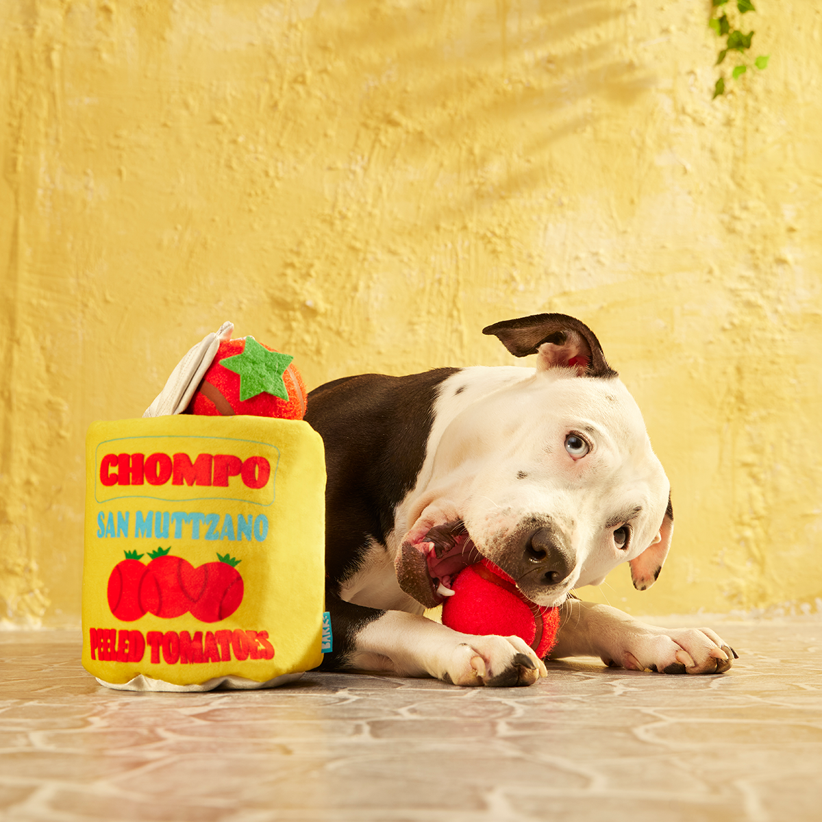 San Muttzano Tomatoes Plush Multi-Part Enrichment + Fetch Dog Toy