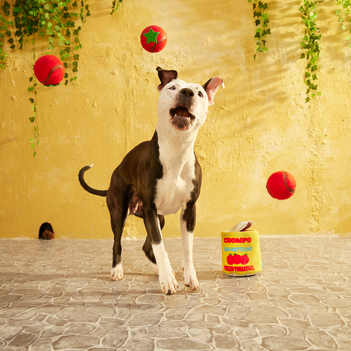 San Muttzano Tomatoes Plush Multi-Part Enrichment + Fetch Dog Toy