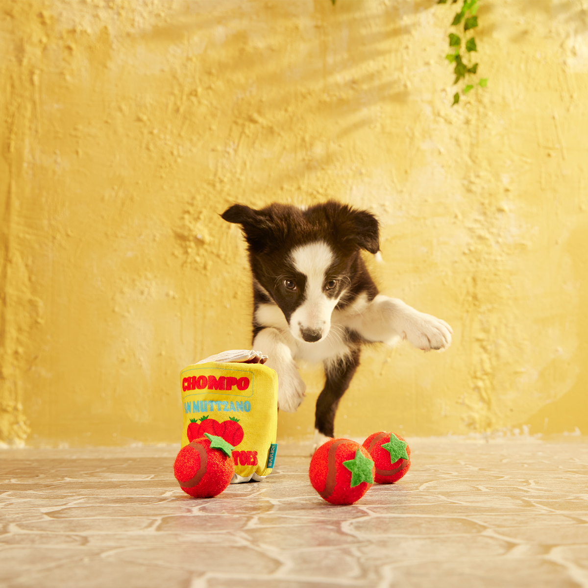 San Muttzano Tomatoes Plush Multi-Part Enrichment + Fetch Dog Toy