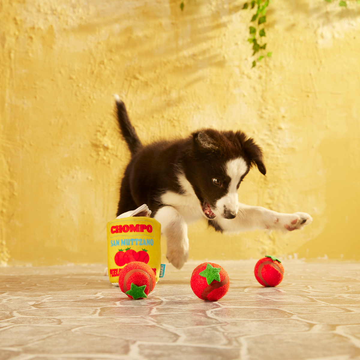 San Muttzano Tomatoes Plush Multi-Part Enrichment + Fetch Dog Toy
