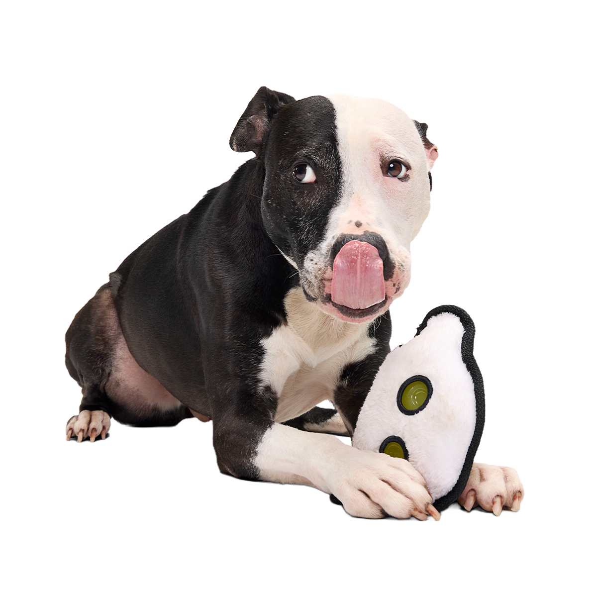 Scary Gary Super Chewer Durable 2-in-1 Dog Toy