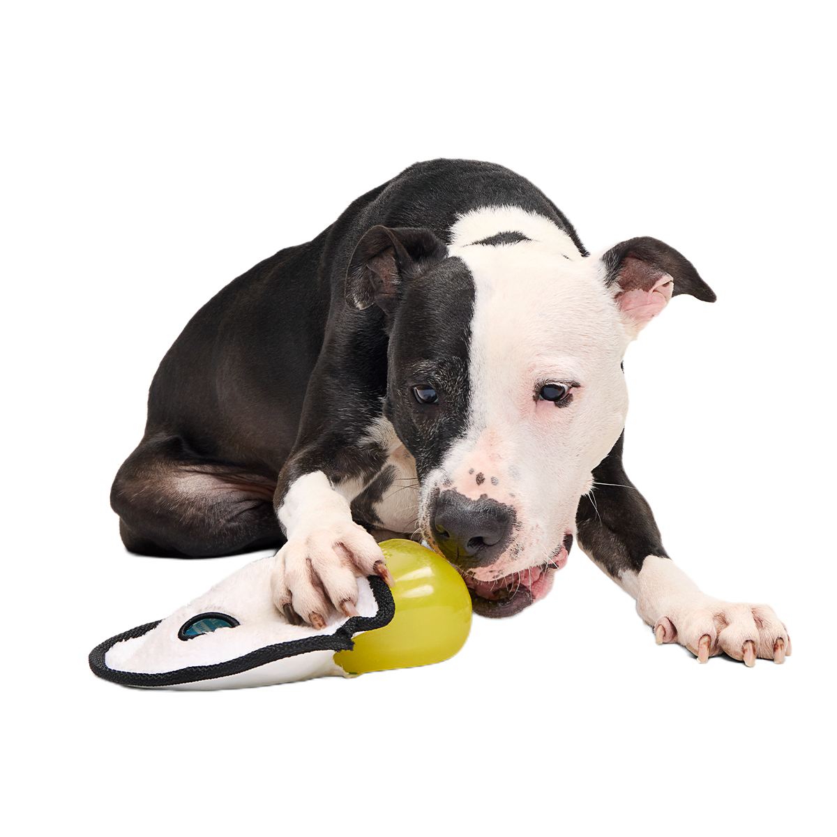 Scary Gary Super Chewer Durable 2-in-1 Dog Toy