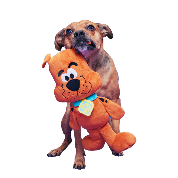Scooby-Dooby-Doo™ Plush Extra-Large Tug Dog Toy – BARK