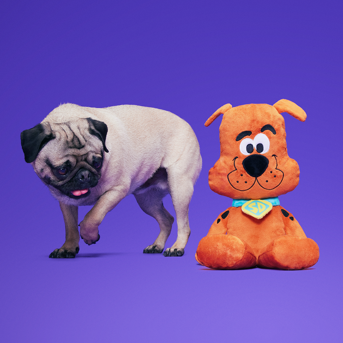Scooby-Dooby-Doo™ Plush Extra-Large + Tug Dog Toy