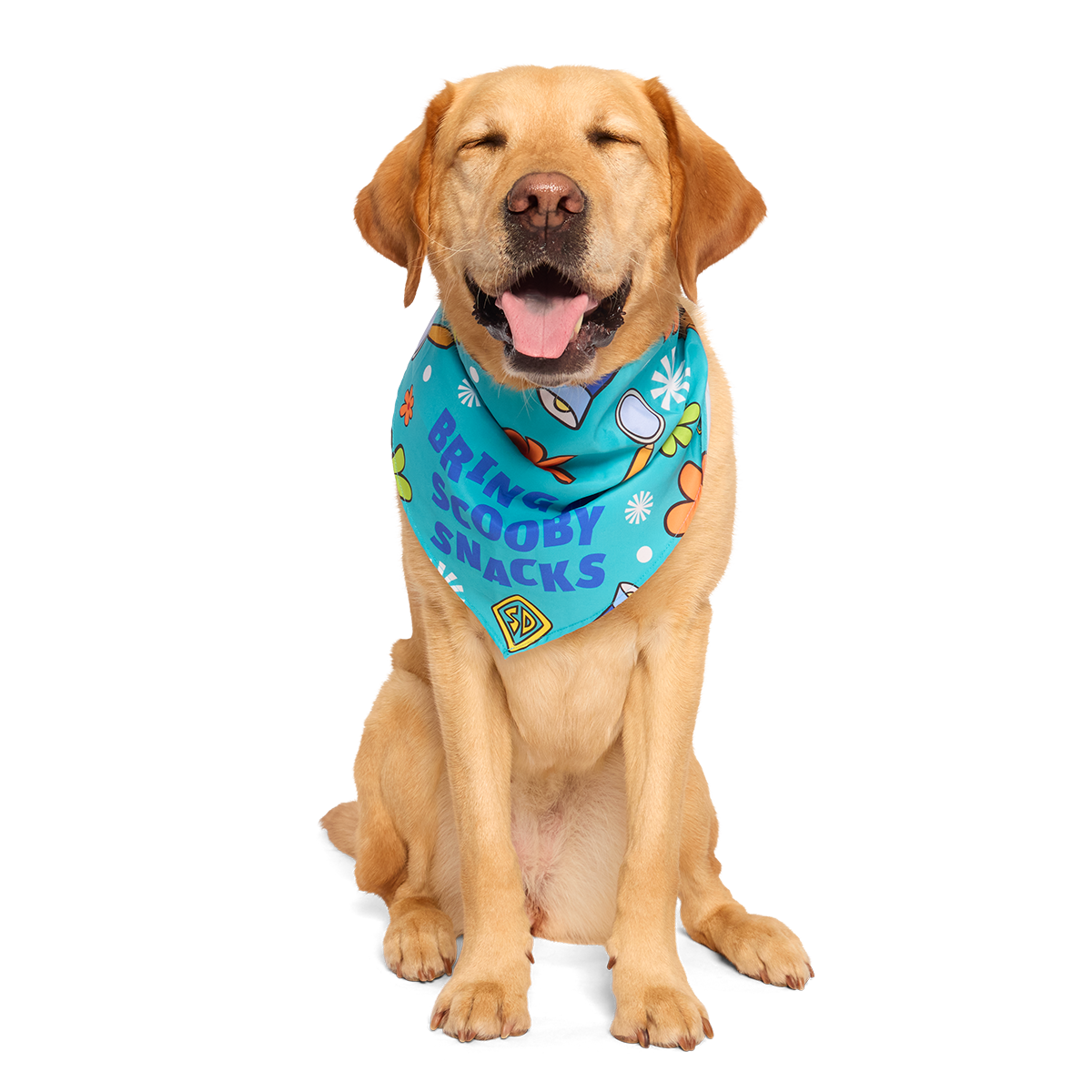 Scooby™ Snacks Dog Bandana
