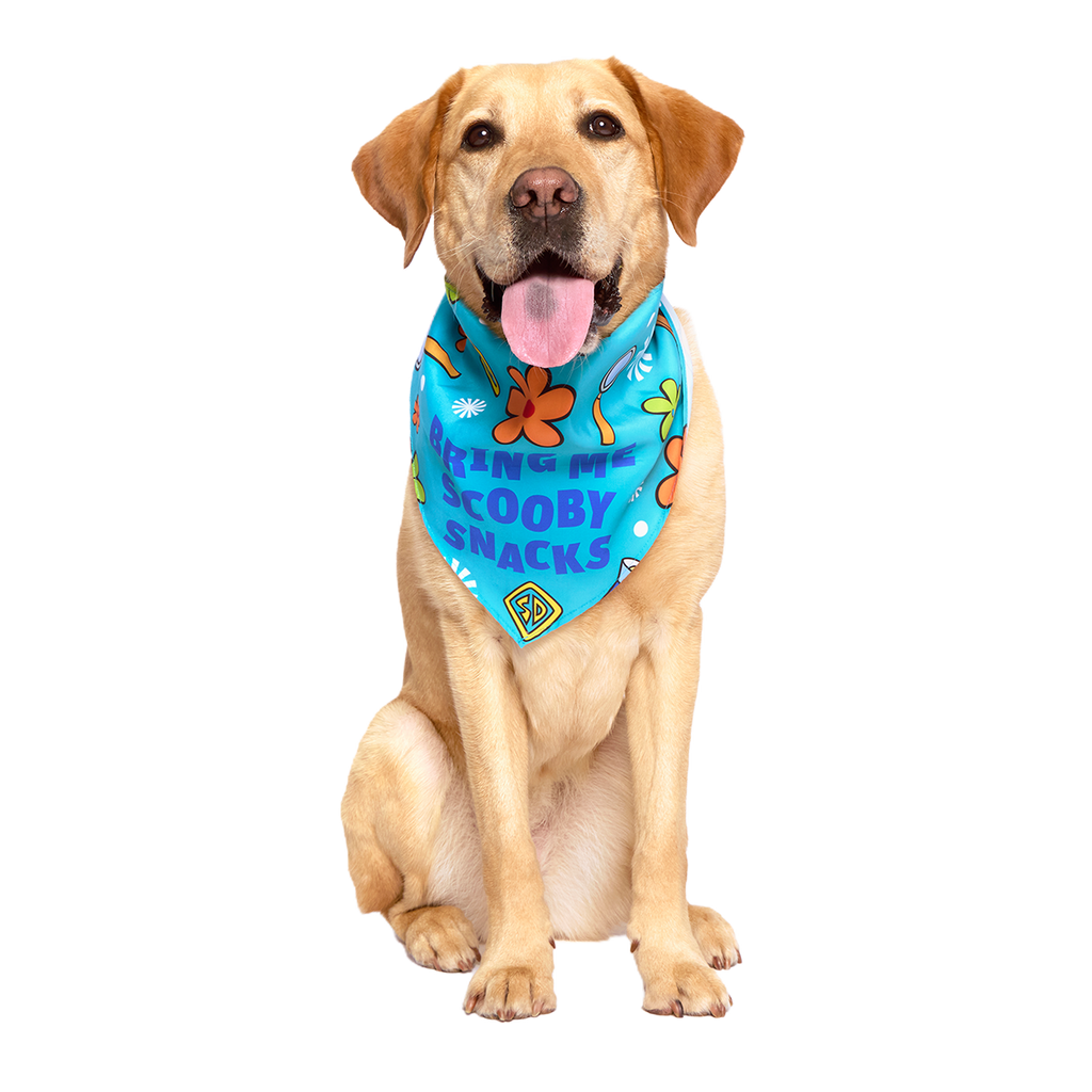 Scooby™ Snacks Dog Bandana – BARK