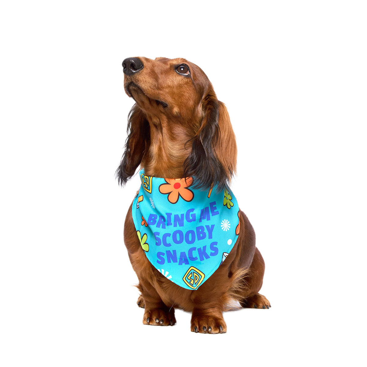 Scooby™ Snacks Dog Bandana