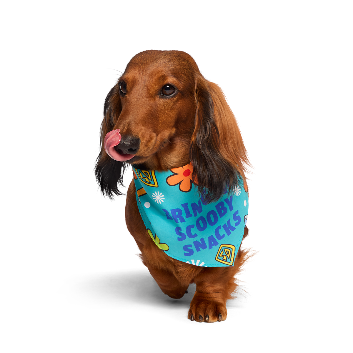 Scooby™ Snacks Dog Bandana