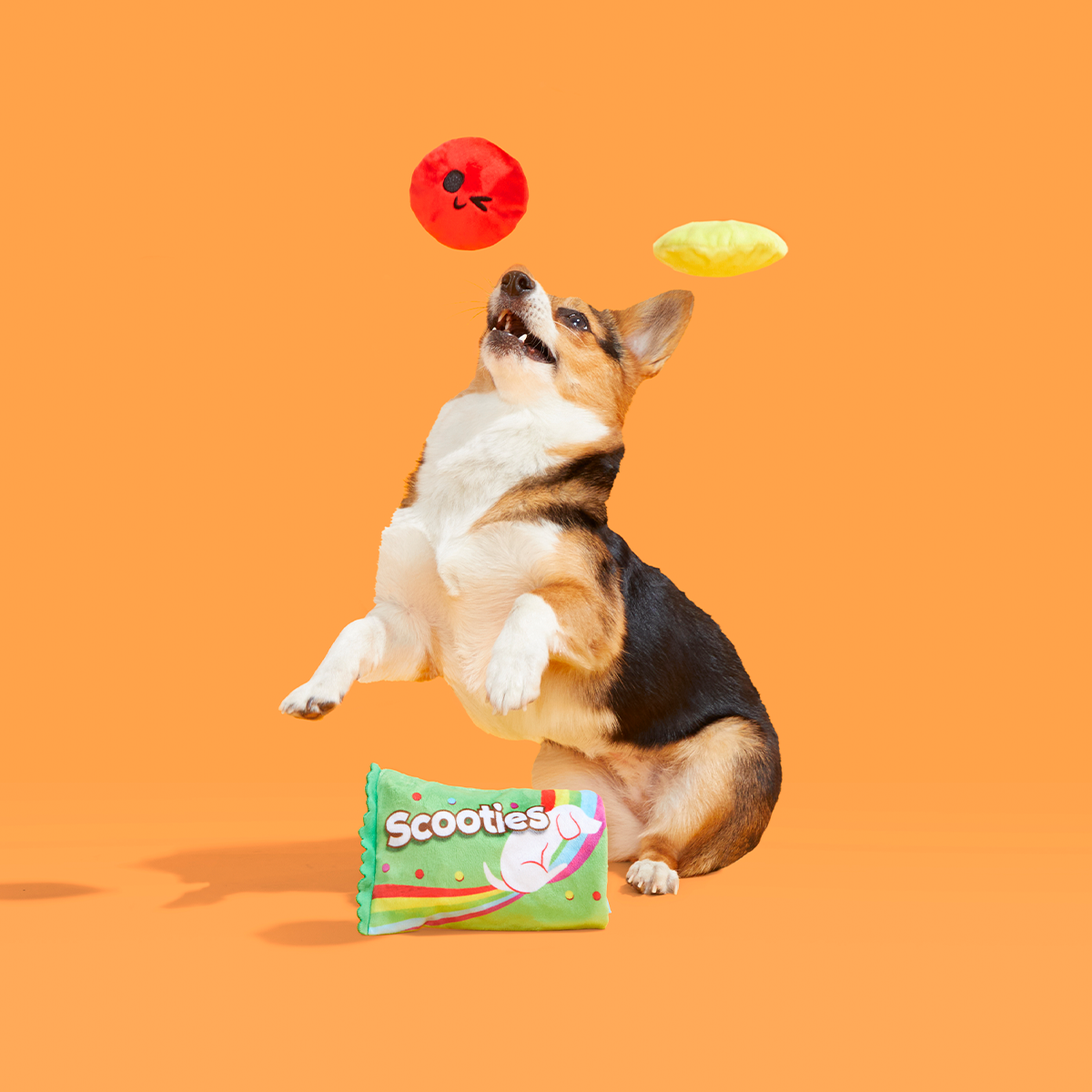 Scooties Candy Plush Multi-Part + Enrichment Dog Toy