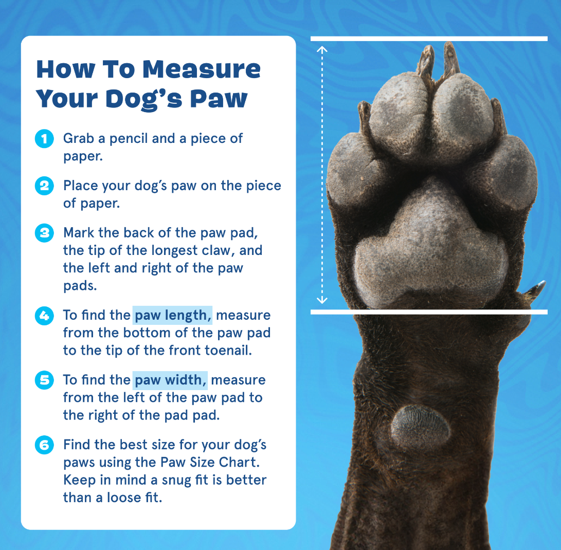 how to measure your dog's paw for crocs