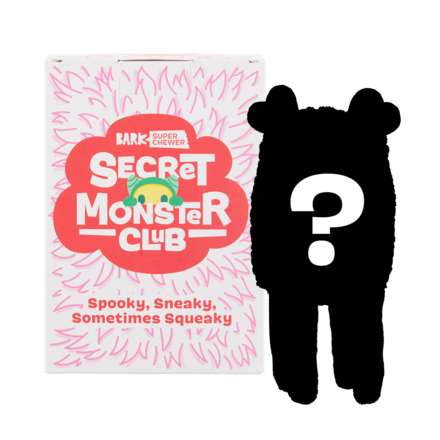 Secret Monster Club