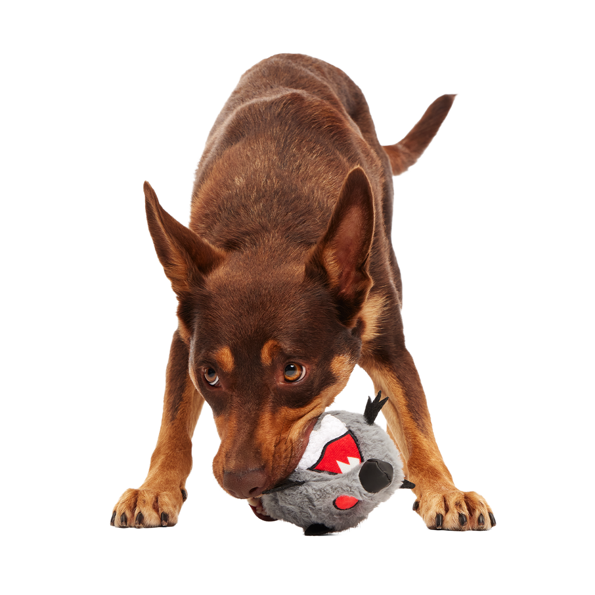 Sewer Chewer Super Chewer Durable 2-in-1 + Fetch Dog Toy