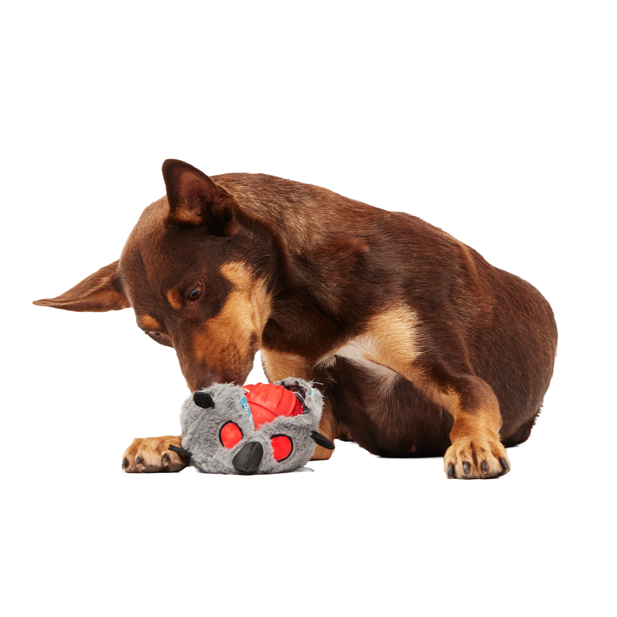 Sewer Chewer Super Chewer Durable 2-in-1 + Fetch Dog Toy