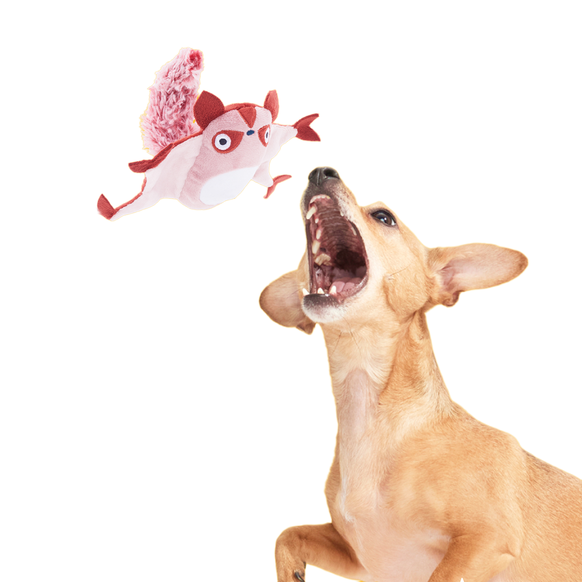 Sheila Sugar Glidah Plush 2-in-1 + Tug Dog Toy