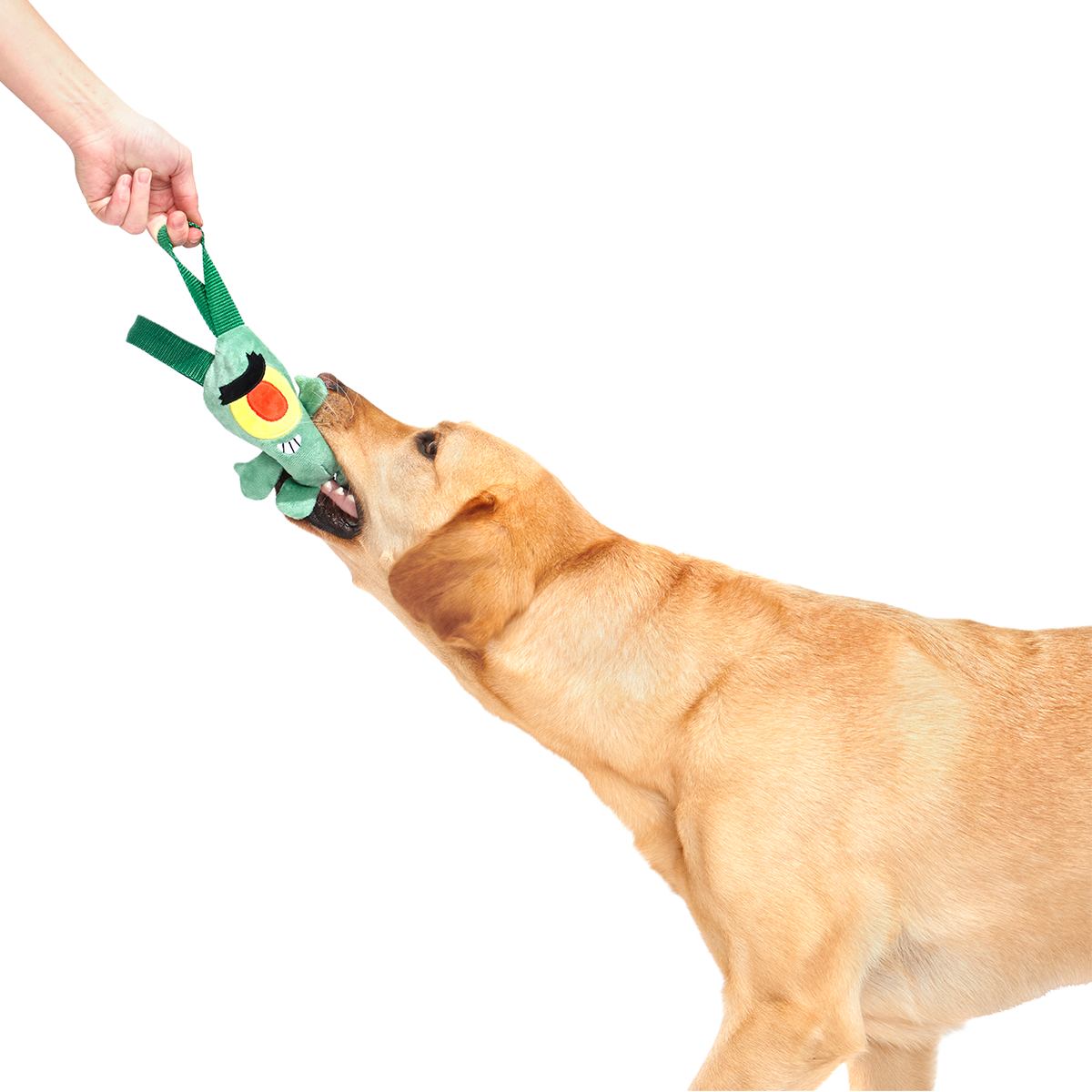 Sheldon J. Plankton Plush Tug Dog Toy