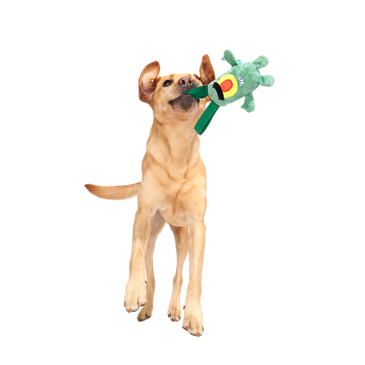 Sheldon J. Plankton Plush Tug Dog Toy